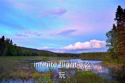 infinite flight怎么玩