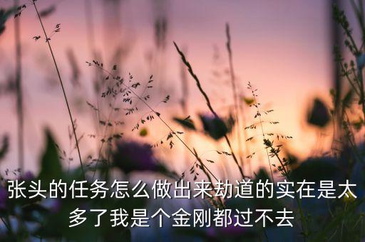 张头的任务怎么做出来劫道的实在是太多了我是个金刚都过不去