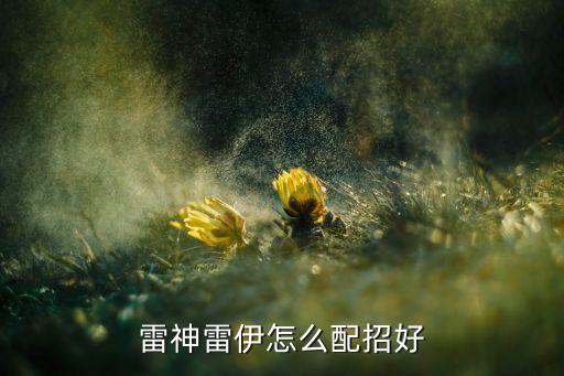 雷神雷伊怎么配招好