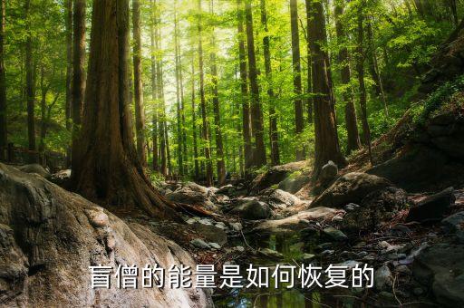 盲僧的能量是如何恢复的