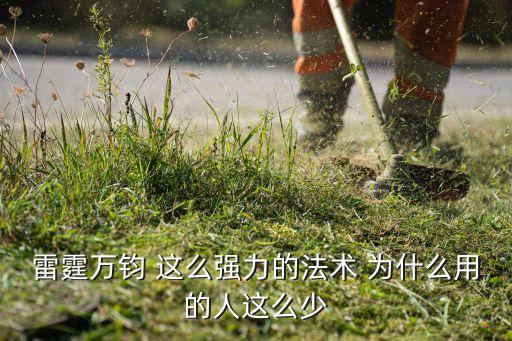 雷霆万钧 这么强力的法术 为什么用的人这么少