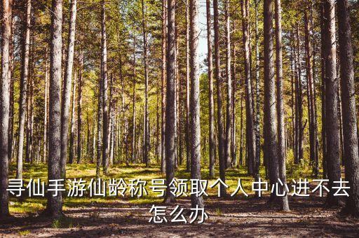 寻仙手游仙龄称号领取个人中心进不去怎么办