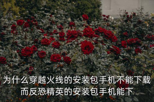 为什么穿越火线的安装包手机不能下载而反恐精英的安装包手机能下