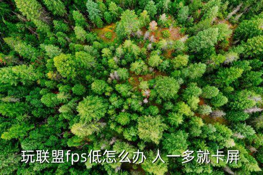 玩联盟fps低怎么办 人一多就卡屏