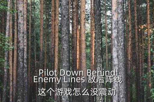 Pilot Down Behind Enemy Lines 敌后阵线这个游戏怎么没震动