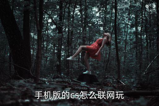 手机版的cs怎么联网玩