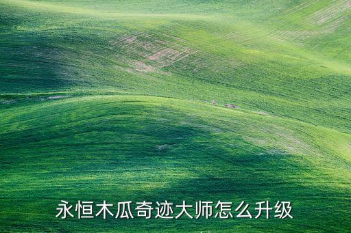 永恒木瓜奇迹大师怎么升级