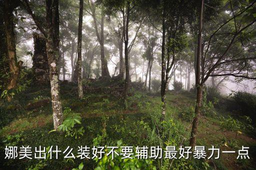 lol手游娜美应该怎么出装，英雄联盟娜美辅助怎么出装