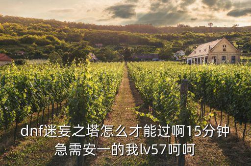 dnf迷妄之塔怎么才能过啊15分钟急需安一的我lv57呵呵