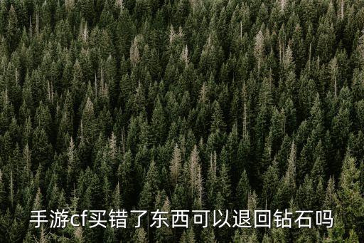 手游cf买错了东西可以退回钻石吗