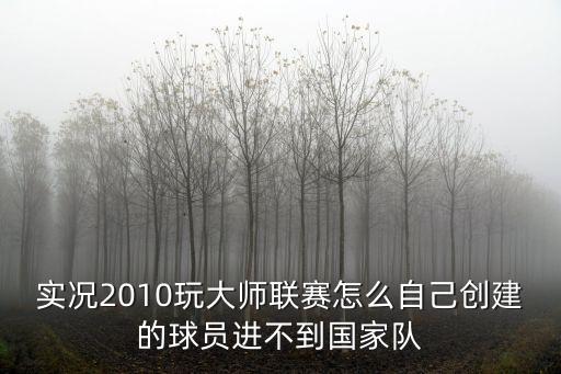 实况2010玩大师联赛怎么自己创建的球员进不到国家队