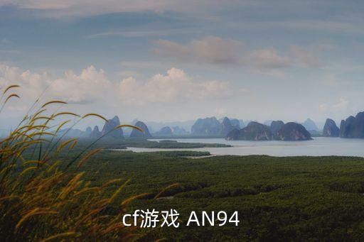 cf游戏 AN94