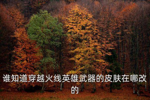 谁知道穿越火线英雄武器的皮肤在哪改的