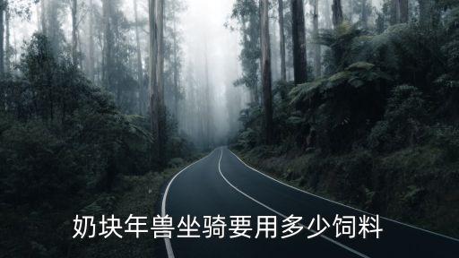 奶块年兽坐骑要用多少饲料