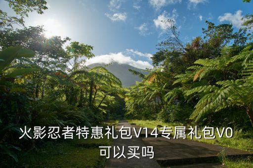火影忍者特惠礼包V14专属礼包V0可以买吗