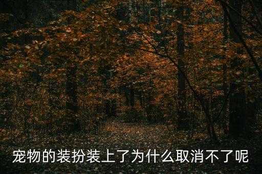 宠物的装扮装上了为什么取消不了呢