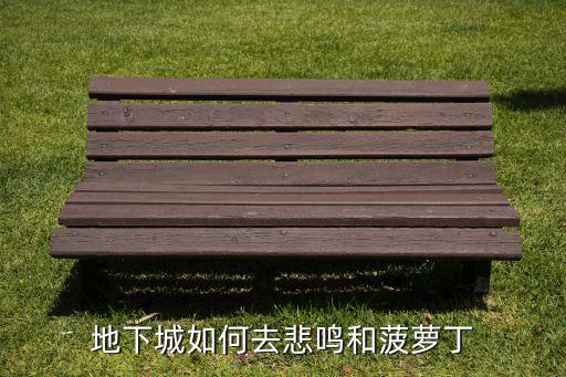 dnf手游悲鸣怎么进入，地下城如何去悲鸣和菠萝丁