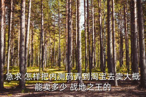 急求 怎样把内测码弄到淘宝去卖大概能卖多少 战地之王的