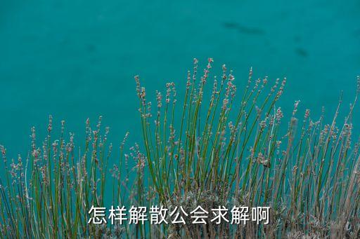 怎样解散公会求解啊