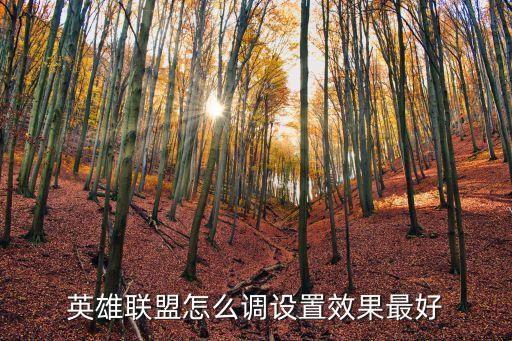 英雄联盟怎么调设置效果最好