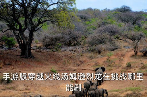 cf手游怎么刷汤姆逊，手游版穿越火线汤姆逊烈龙在挑战哪里能刷