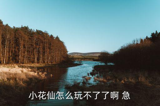 小花仙怎么玩不了了啊 急