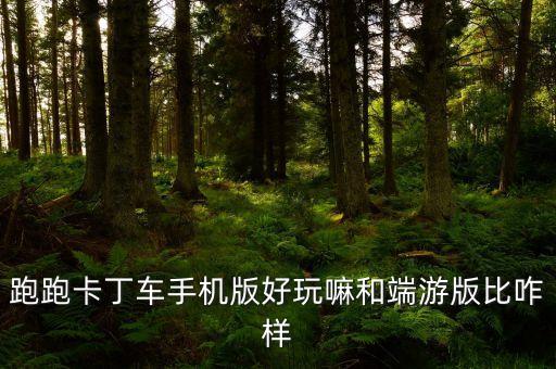 跑跑卡丁车手机版好玩嘛和端游版比咋样