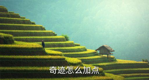 奇迹怎么加点