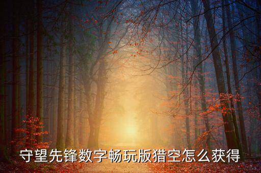 守望先锋数字畅玩版猎空怎么获得