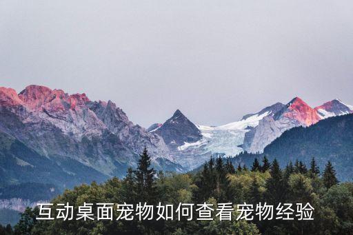 互动桌面宠物如何查看宠物经验