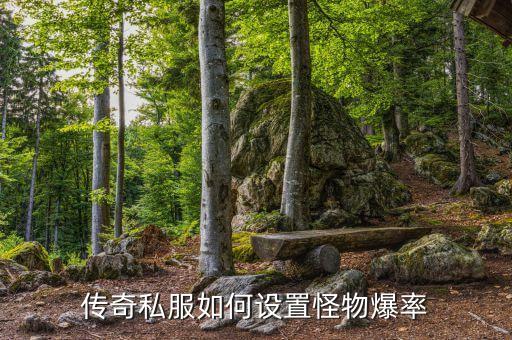 传奇私服如何设置怪物爆率