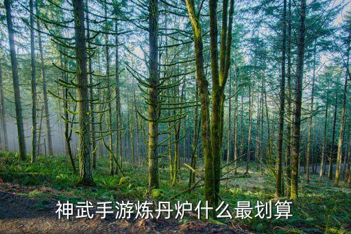 神武手游炼丹炉什么最划算