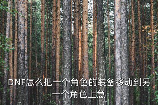 DNF怎么把一个角色的装备移动到另一个角色上急