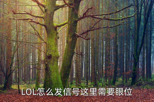 LOL怎么发信号这里需要眼位
