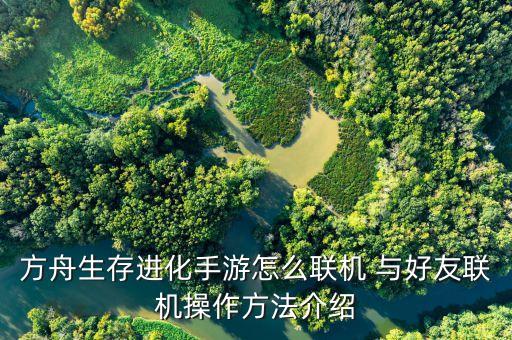 方舟手游驯龙怎么联机，方舟生存进化怎么驯龙