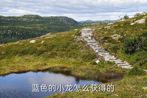 蓝色的小龙怎么获得的