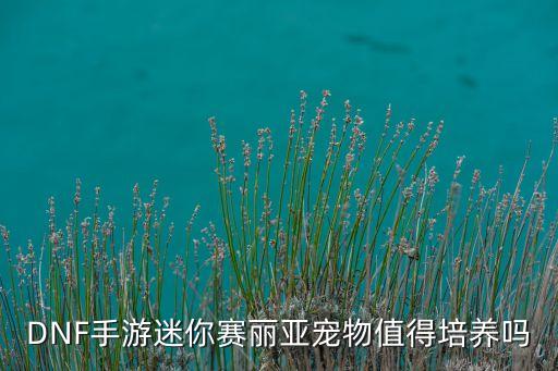 DNF手游迷你赛丽亚宠物值得培养吗
