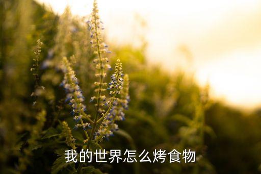 我的世界怎么烤食物