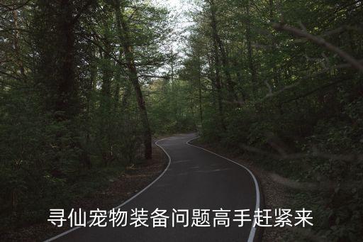 寻仙宠物装备问题高手赶紧来