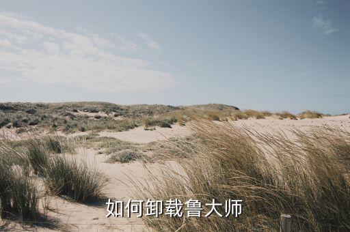 如何卸载鲁大师