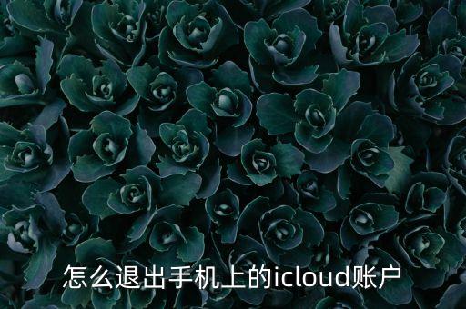 怎么退出手机上的icloud账户