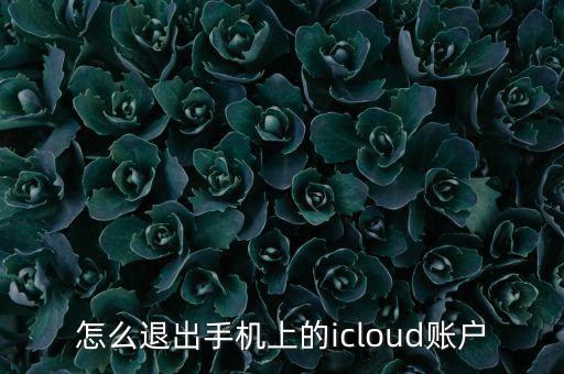 怎么退出手机上的icloud账户