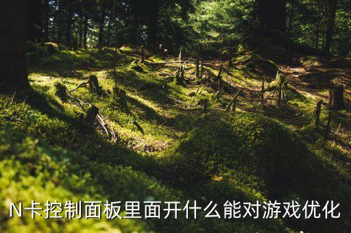 N卡控制面板里面开什么能对游戏优化