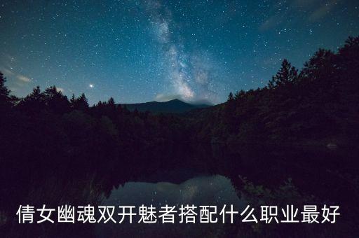 倩女幽魂双开魅者搭配什么职业最好