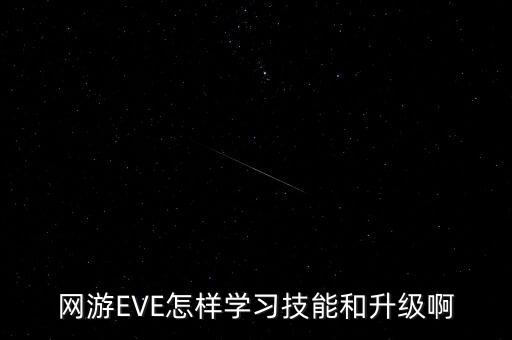 网游EVE怎样学习技能和升级啊