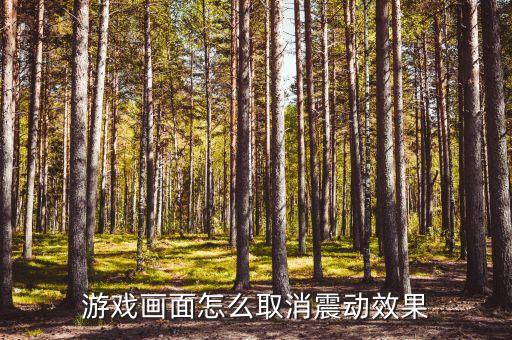 游戏画面怎么取消震动效果