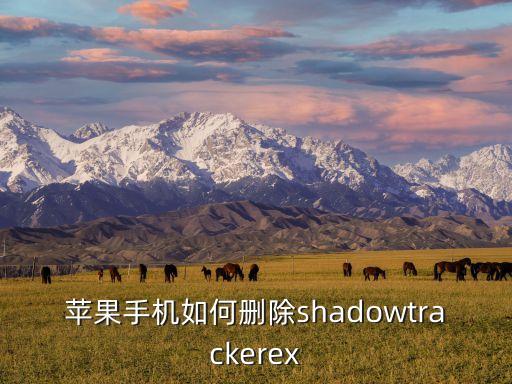 苹果手机如何删除shadowtrackerex