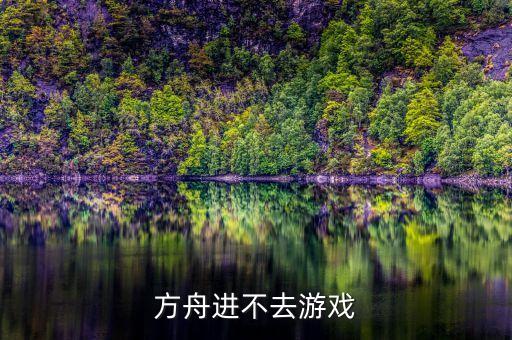方舟进不去游戏
