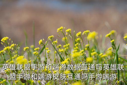 英雄联盟手游和端游数据互通吗英雄联盟手游和端游皮肤互通吗手游端游
