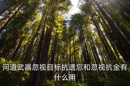 问道武器忽视目标抗遗忘和忽视抗金有什么用